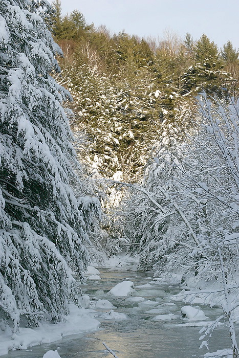 riptoncreek1.jpg